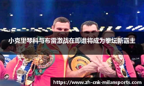 小克里琴科与布雷激战在即谁将成为拳坛新霸主